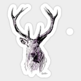 Lord Of The North - Stag - Ink and Watercolour Sticker